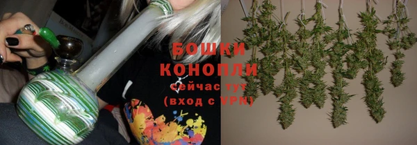 мдпв Верея