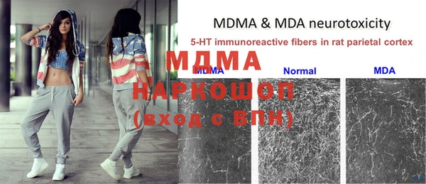 мдпв Верея