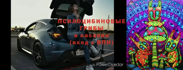 мдпв Верея