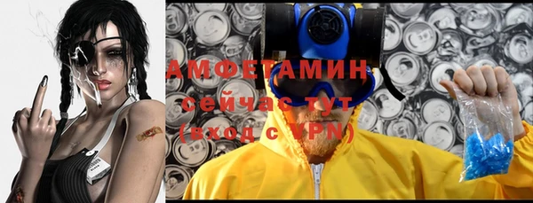 мдпв Верея